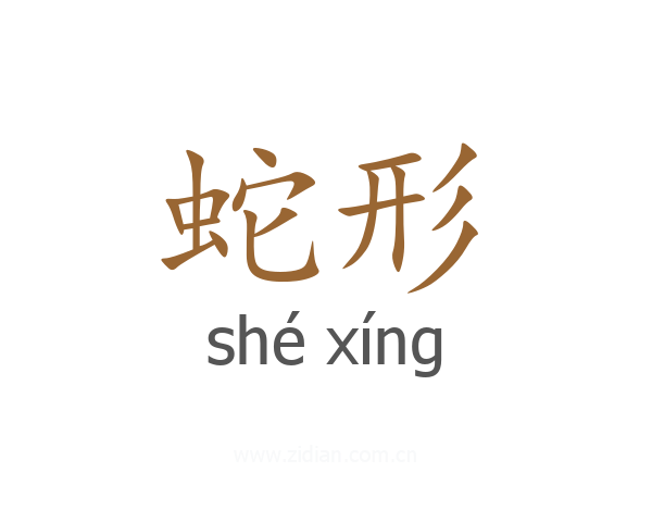 蛇形