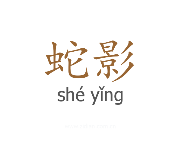 蛇影