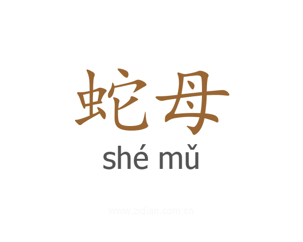 蛇母