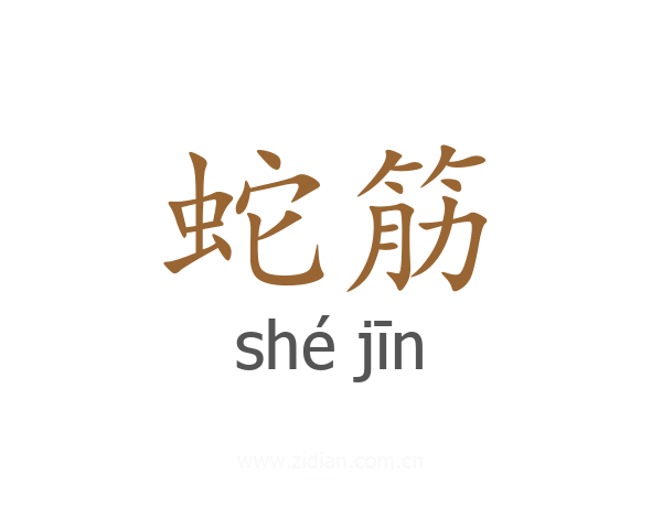 蛇筋