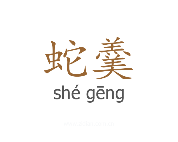 蛇羹