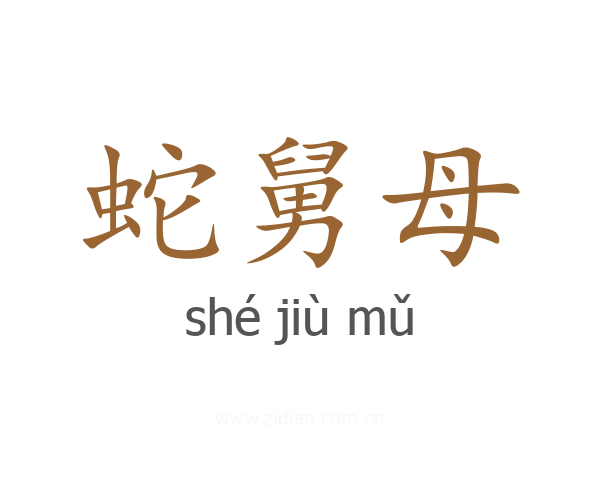 蛇舅母