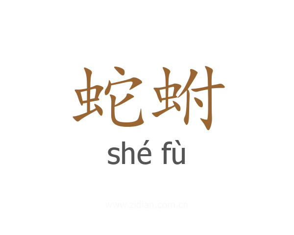 蛇蚹