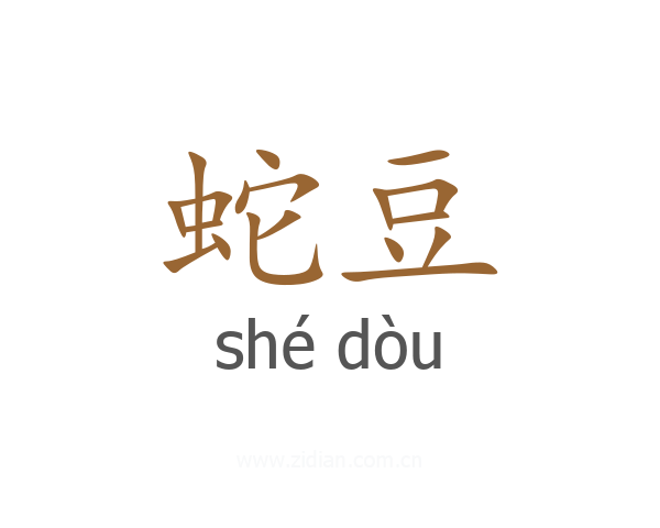 蛇豆