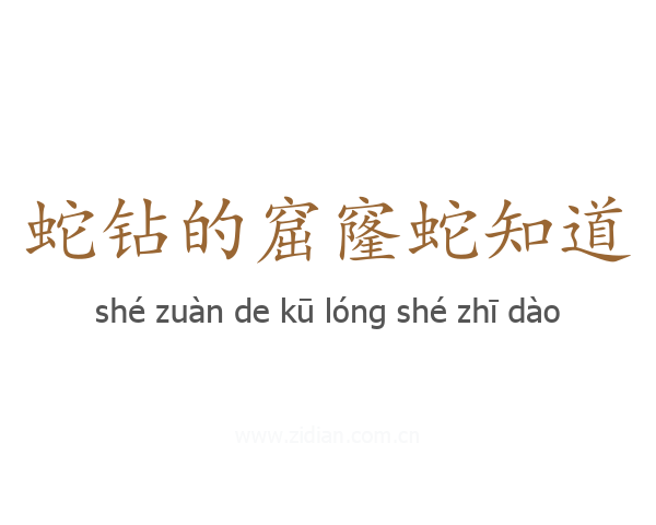 蛇钻的窟窿蛇知道