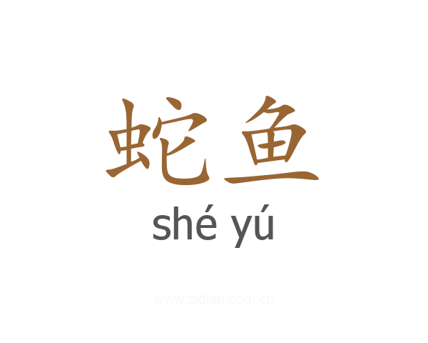 蛇鱼