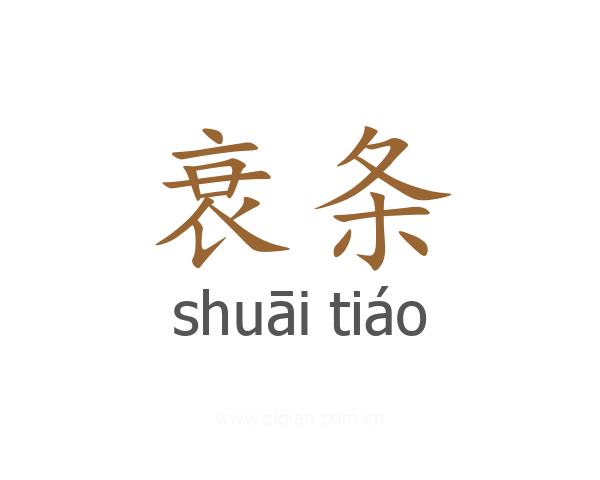 衰条