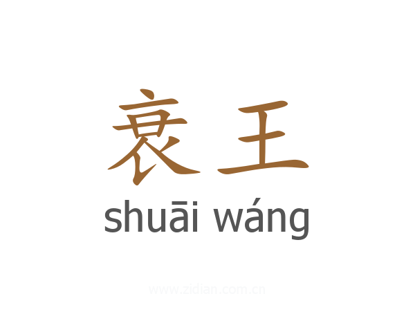 衰王