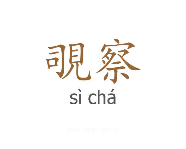 覗察