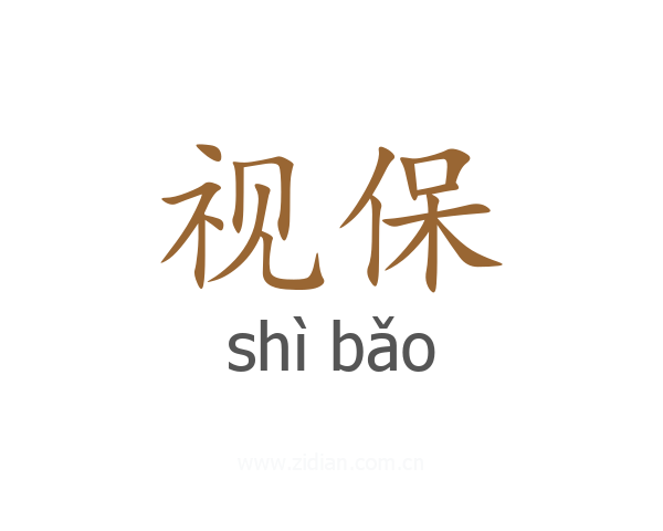 视保