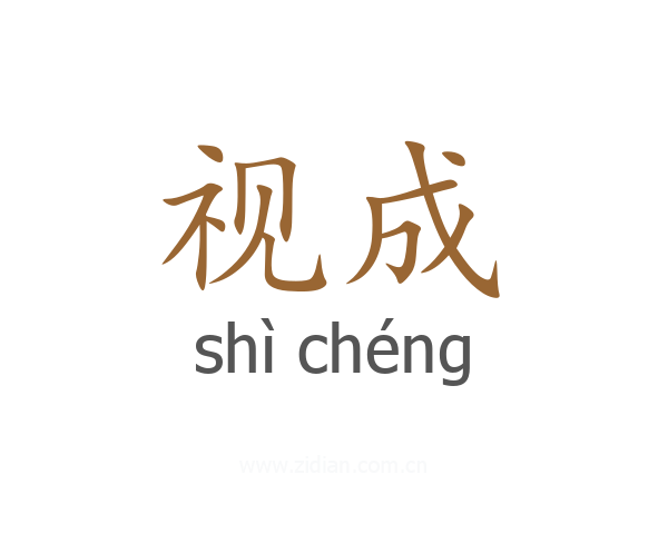 视成