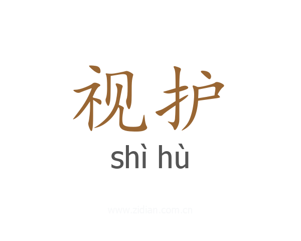 视护