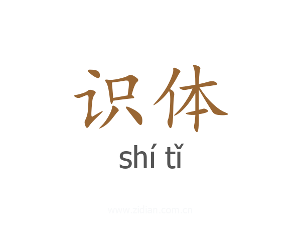 识体