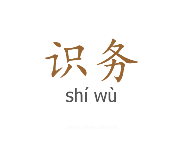 识务