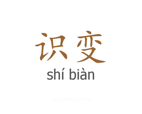 识变