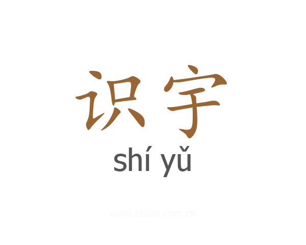 识宇