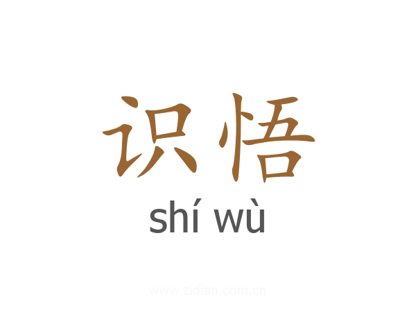 识悟
