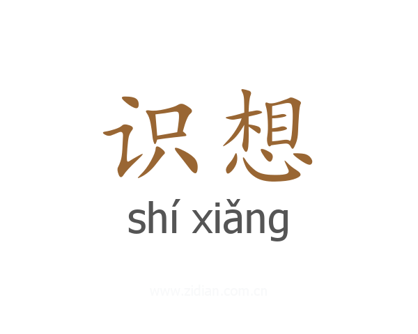 识想