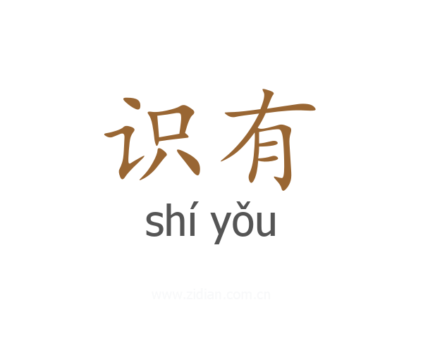 识有