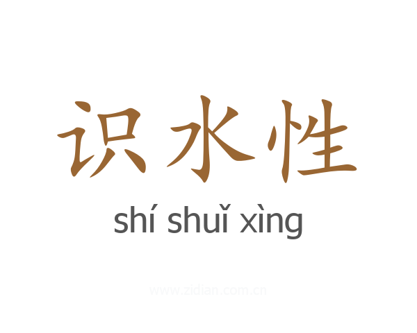 识水性