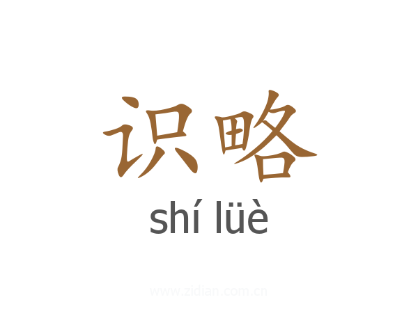 识略