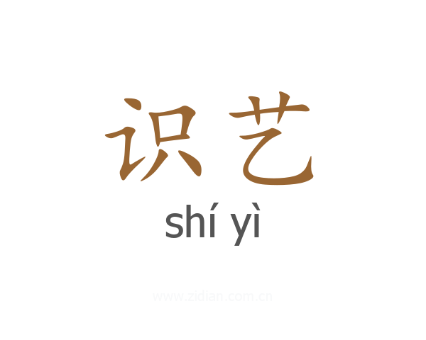识艺