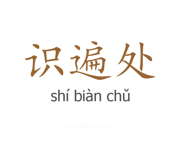 识遍处
