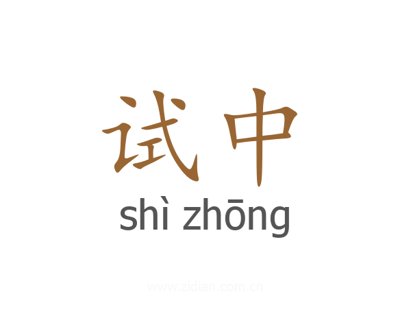 试中