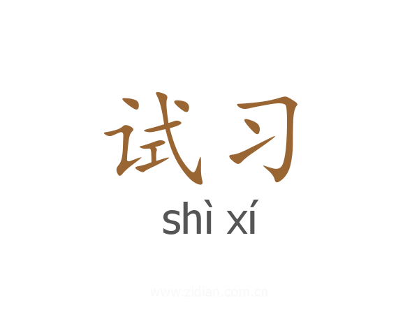试习