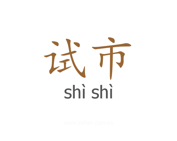 试市