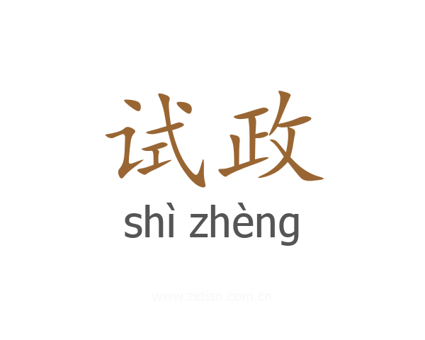 试政