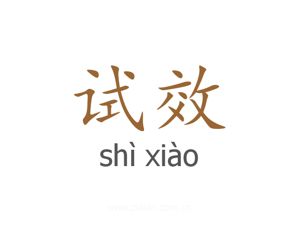 试效