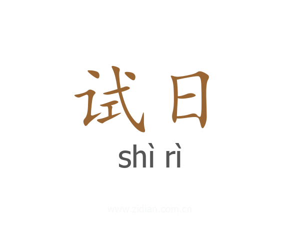试日