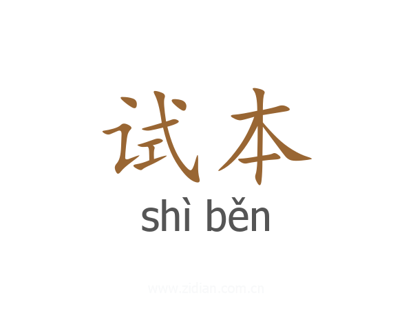 试本