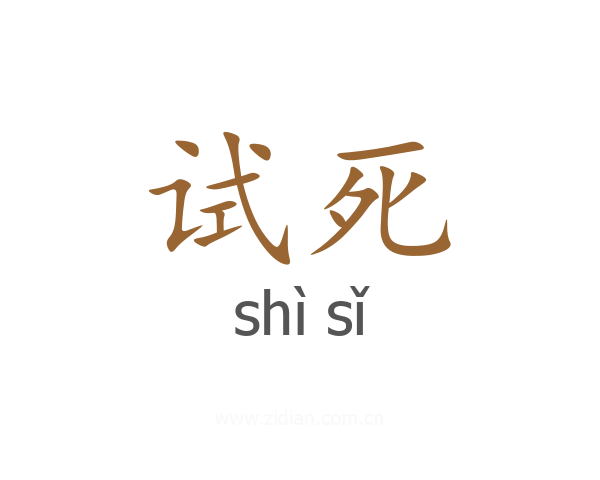 试死