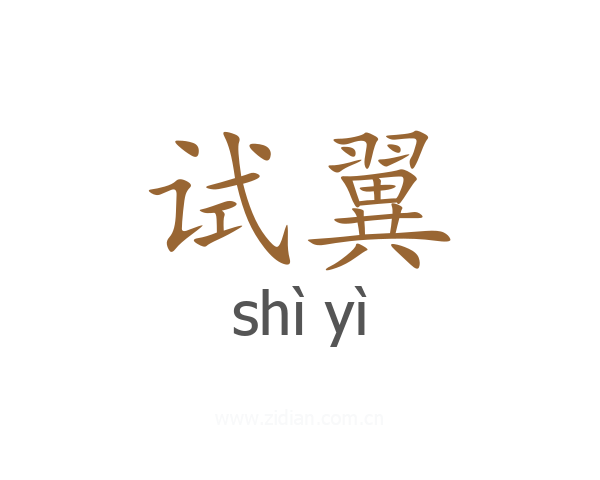 试翼