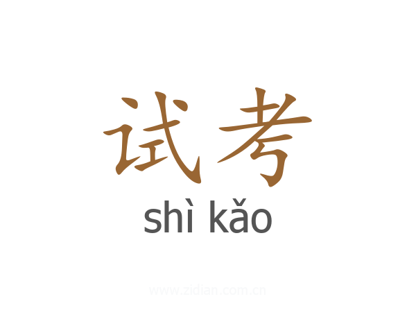 试考