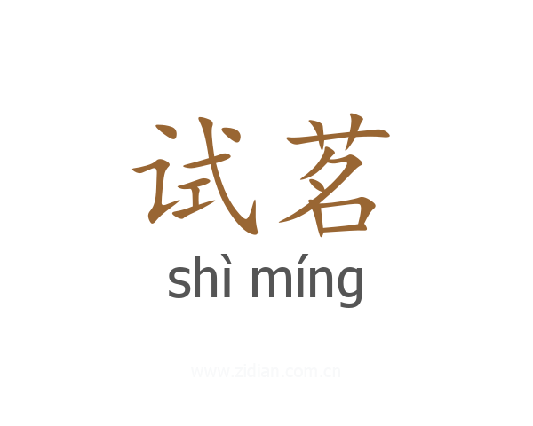 试茗