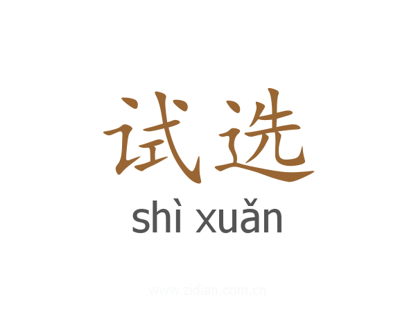 试选