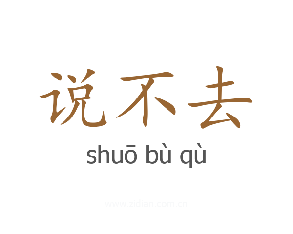 说不去