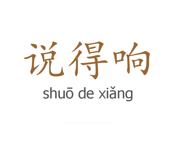 说得响