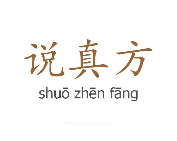 说真方