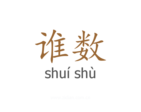 谁数