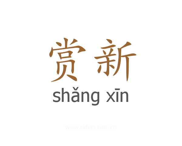 赏新
