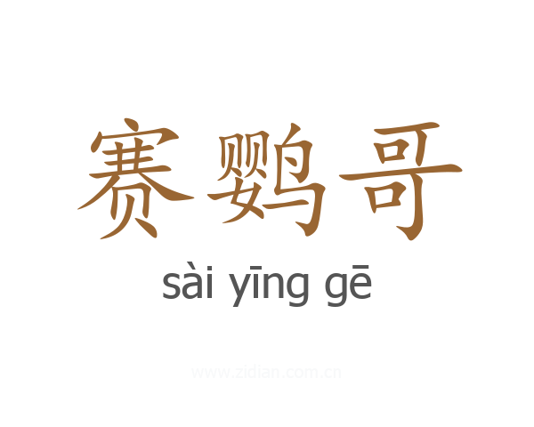 赛鹦哥