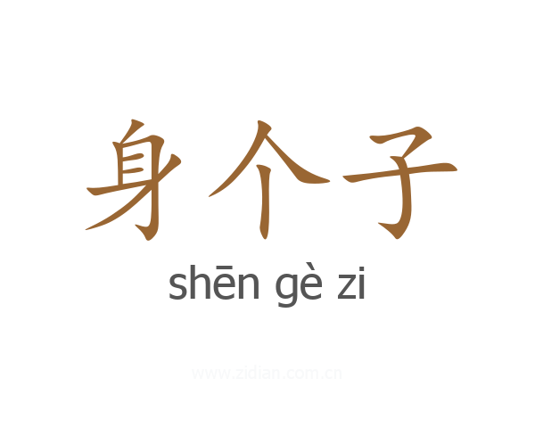 身个子