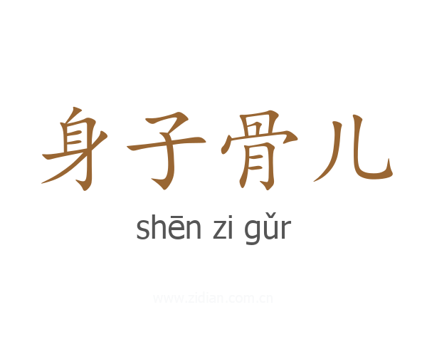 身子骨儿