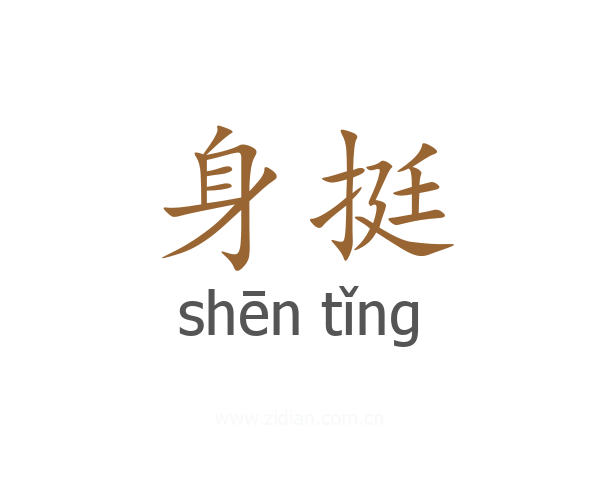 身挺