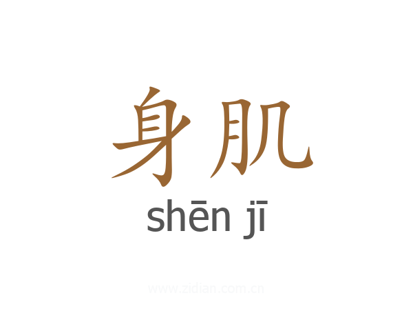 身肌