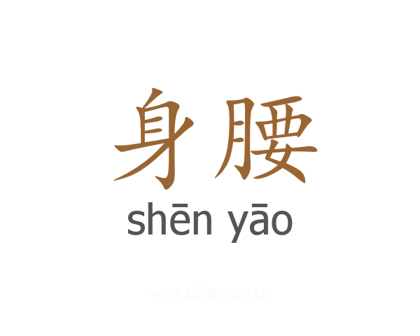 身腰